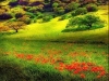 thumbs_010