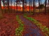thumbs_011