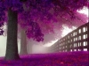thumbs_018