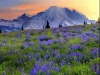 thumbs_019
