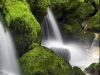 thumbs_027