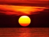 thumbs_036