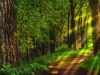 thumbs_041