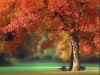 thumbs_046