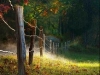 thumbs_051