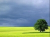 thumbs_055