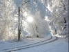 thumbs_056