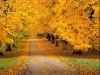 thumbs_068