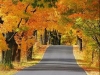 thumbs_072