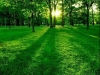 thumbs_083