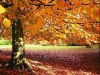 thumbs_097
