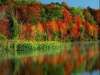 thumbs_098