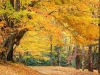 thumbs_103
