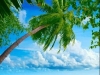 thumbs_106