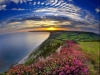 thumbs_110