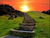 thumbs_111