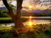 thumbs_113