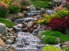 thumbs_123