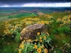 thumbs_124