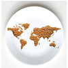 Windows Live Search & ACF International Network
